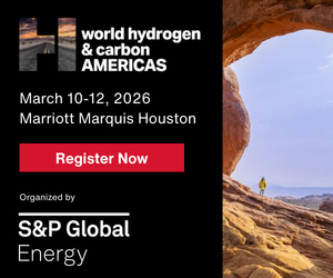 World Hydrogen & Carbon Americas