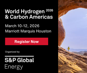 World Hydrogen & Carbon Americas