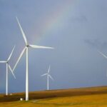 Wind Firm