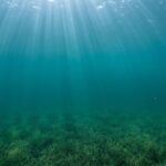 North-Sea-s-Promise-for-Green-Hydrogen-Production