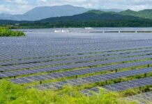 Bridging Borders Lessons from New Zealands Solar Farm Development for Indias Clean Energy Push