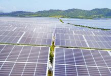 Installed Solar Capacity in China Crosses 1-TW NEA