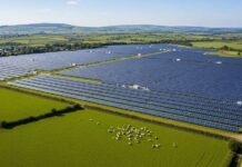 EDF Commissions Largest