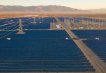 Defying Trump, Solar + Wind Provided More Than a Fifth of U.S. Electrical Generation in 1st Half of 2025 as Solar Grew 38%