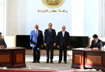 Egypt Enters $220 Million Foreign Deal for Atom Solar Egypt Atom Solar Egypt