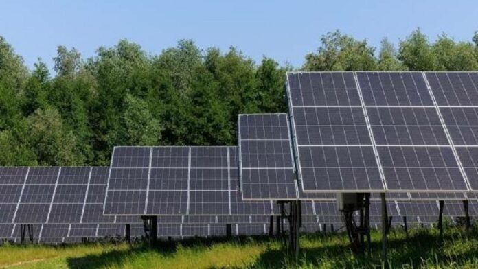 NetZero Technology Projects