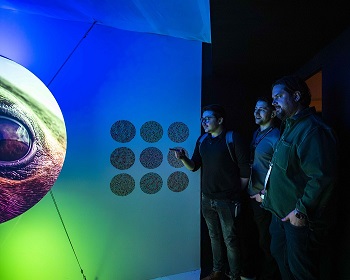 Credit Streeem techno