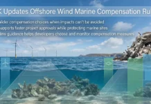 UK Reforms Offshore Wind Environmental Compensation Rules to Accelerate Clean Energy Development Offshore wind