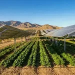 climate-resilient-solar-infrastructure