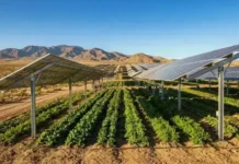 Climate Resilient Solar Infrastructure for Future Grids climate resilient solar infrastructure