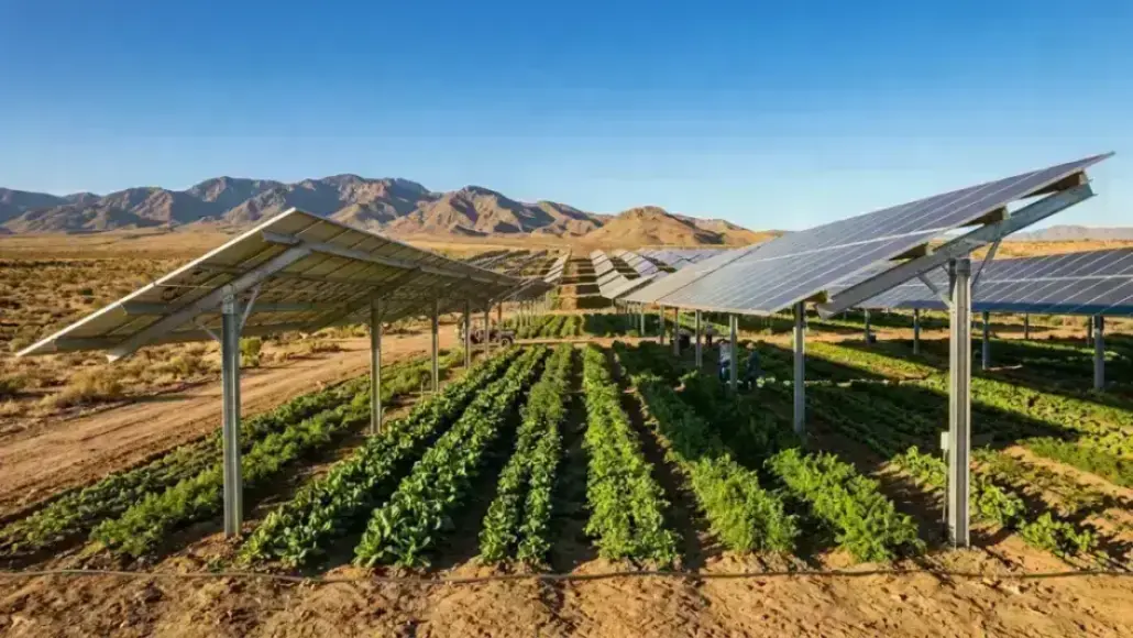 climate resilient solar infrastructure