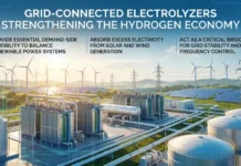 Grid-Connected Electrolyzers Strengthening the Hydrogen Economy Grid-Connected Electrolyzers Strengthening the Hydrogen Economy