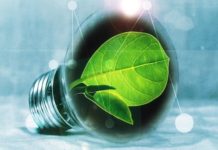 Bioelectricity proves critical to the EU's decarbonisation
