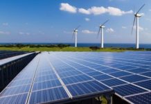 Three Renewable Energy Trends that are Propelling Growth in the Challenging Energy Sector