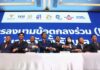 Thai Power Generation Under Pressure With Election Outcomes