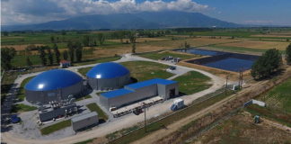 Biogas Specialist WELTEC BIOPOWER Takes Over Operations of AD AGRO