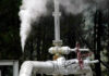 Japan Must Switch Energy Sources To Avoid Shortages- Fitch