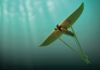 Minesto and Schneider Electric collaborate on ocean energy farms