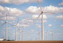 Scout Clean Energy Completes Construction of 180 MW Heart of Texas Wind Farm