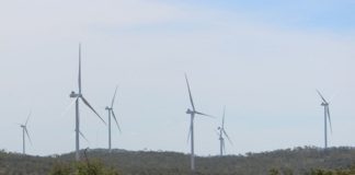 Neoen and CleanCo Queensland sign a new PPA for 110 MW of wind energy in Australia