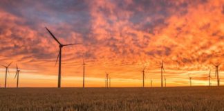 China to build Europe's biggest onshore wind park in Ukraine